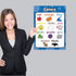 Palace Learning 5 Pack - Preschool Curriculum Kit on CD & ABC Alphabet + Numbers 1-10 + Shapes + Colors Poster Set