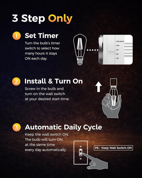 ST19 Bulb 2 Pack: Bulbs 3H/6H/9H/12H 2700K 600lm, E26 Timer Light Vintage Edison LED with Built-in Timer, Auto Modes