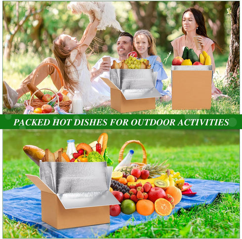 Honoson 2 Frozen Pack Pack Frozen (12'' 10'' 7'') Pcs Thermal Insulated Shipping Boxes for Food with Ice and Aluminum