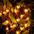 C7 25Ft 27 Bulbs, Christmas Lights, Outdoor Clear Christmas String Lights with Clear Warm White Incandescent Vintage