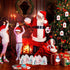 Pasimy 36 Pcs Christmas Sticky Notes, Xmas Self Stick Memo Pads, Coffee Cup Santa Notepad Set, Christmas Gift