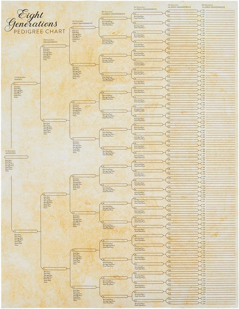 Okuna Outpost 15 Pack Family Tree Charts to Fill In, Off-White Poster Paper, 8 Generation Genealogy Charts