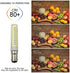 BA15D Bulbs 15W Dimmable, 120V 136-LEDs 2835SMD 6000K 2250LM CRI>90+,150 2-Pack LED Double Contact Bayonet Base