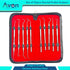 Avon Surgical 10 Pieces Kit - Dental Hygienist Oral Care Picks Single + Double-Ended with Varying Tips - Precision