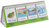 Junior Learning Sentence Flips Double-Sided Flip Stand, Ages 4-6, Vocabulary & Grammar for K-1