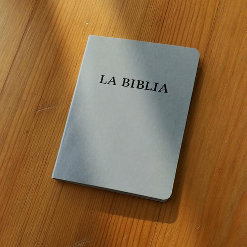 Spanish 24 Pads Testigos de Jehova Regalos, Jehovah Witness Bible Sticky Notes Accessories Gifts for JW.org
