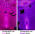 ALIDE Purple MR16 GU5.3 Led Bulbs 5W,20W 35W 50W Halogen Equivalent,12V Low Voltage MR16 Led Purple Bulbs for Halloween Outdoor Landscape Yard Garden Tree Pool Holiday Lighting,38 Deg,6 Pack by ALIDE