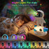 FlyLily Astronaut Galaxy Projector for Bedroom, Star Projector Galaxy Light with App & Remote Control, White Noises