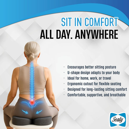 Tailbone Sealy Memory Foam Seat Cushion for Car and Office Chairs Pain Relief, Posture Support, and Comfort for Home