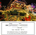 197FT 500 8 KNONEW LED Christmas Lights Outdoor String Lights Modes & Memory Fairy Light Plug in Waterproof LED String