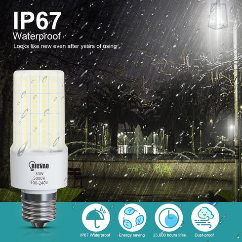 LED Light Bulb, 250W Equivalent, 30W 3750 Lumen, 5000K Cool Daylight White, E26/E27 Medium Base, Pack of 2
