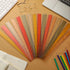 Panelee 306 Pcs 12 Inch Plastic Ruler, Colorful Transparent Ruler with Inches and Centimeters for School