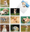The Best Card Company - 10 Adorable Blank Dog Cards (4 x 5.12 Inch) - Boxed Set of Lovable Labs AM6325OCB-B1x10