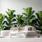 Agglomerix Custom Size Wall Murals Fiddle Leaf Fig Botanical Green Leaves Minimalist SelfAdhesive