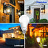 Bulbs, 13W(100W E26 3000K, Bulb Boundary-6 Pack Torkase Outdoor Dusk to Dawn Light Equivalent), Built-in Photocell