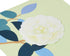 Papyrus Blank Card with White Rose Design