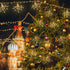 8 (5in1 50LED) keeda Mini Firework String Lights Battery Operated with Remote Control Christmas Hanging String Lights