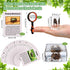 GlikCeil 12 10x Pcs Insect in Resin Specimen Bugs Discovery Kit Collection Paperweight Bug with Information Flash Cards