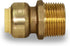Everflow Supplies Pushlock UPMC134 - 1 Inch x 3/4 Inch Long Push X Male Adapter for PEX, CPVC & Copper