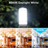 12 Pack Dimmable G9 Bulb 4W (40 6000K G9 Bulb T4 G9 Bulbs Chandelier,120V 450LM 360 G9 Bulb DAYBEETER LED Watt