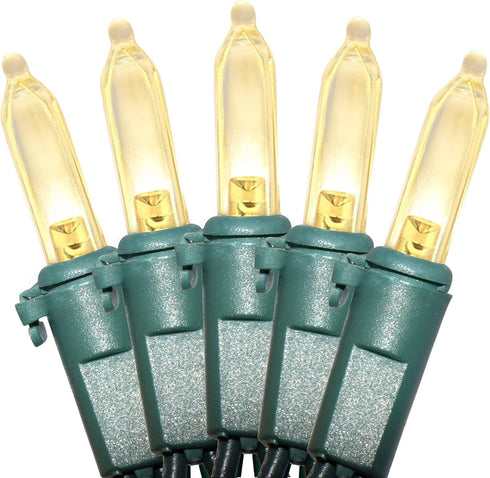 Christmas LED Lights 100 Warm White String Lights for Indoor and Outdoor