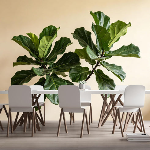 Agglomerix Custom Size Wall Murals Fiddle Leaf Fig Botanical Minimalist Green Leaves SelfAdhesive Wall Fabric Removable