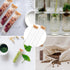 20 Pcs 60ml Flat Test Tubes with Cork Stoppers for Candy Storage, Plant, Party