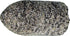 PFERD 61820 Type 16 Round Nose Cone, 1-1/2" Diameter x 3" Length, Aluminum Oxide, 5/8-11 Thread, 16 Grit, 24192 RPM