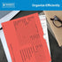 Printed Vehicle Deal Envelopes, 9x12 Deal Jackets, 100 Shrink Wrapped, Salmon
