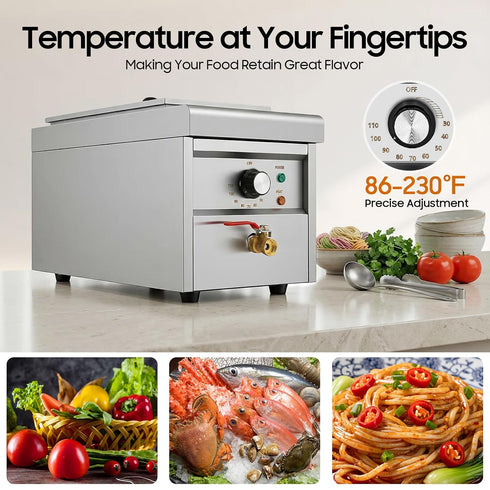 Jiabailie 2 Cooker,2500W Commercial 2 Holes Noodle Cooking Machine,Electric Pasta Spaghetti Noodles Pasta Boiler,Pasta