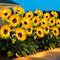 Solar Lights Outdoor Garden Decor, 3 Pack with Upgraded 18 Bright Solar