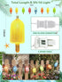 10 10 Bulbs, Summer LED Popsicle String Lights, Multicolor Ice Cream with Mini LED Indoor Outdoor Plug in Fairy Lights