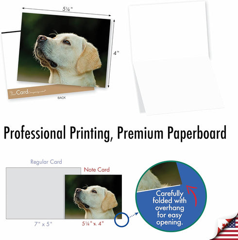 The Best Card Company - 10 Adorable Blank Dog Cards (4 x 5.12 Inch) - Boxed Set of Lovable Labs AM6325OCB-B1x10