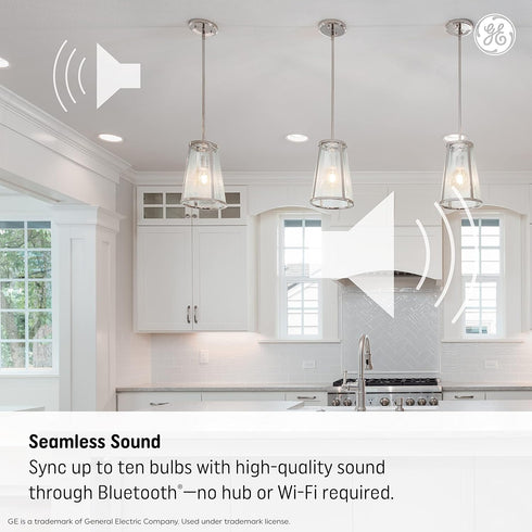Bulb, BR30 Bulb (1 Pack) GE Lighting LED+ Speaker Indoor Floodlight Soft White, Bluetooth Speaker, No App or Wi-Fi