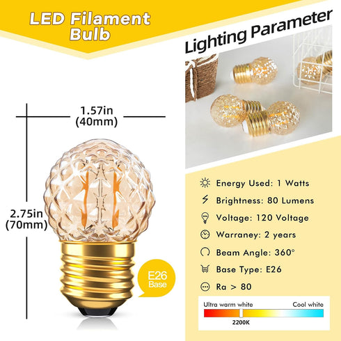 E26 Bulbs,1W Bulb,10 Bulbs 2200K Strings,Non-Dimmable,Glass,2-Pack Amber Small LED Light Small Edison Watt
