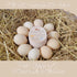 RucaDeco 500 2.7 3.5 Inches Pcs Premium Fresh Farm Egg Handling Instruction Cards - X - Egg Stamps for Eggs Care Egg