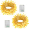 echosari 2 Pack Battery Operated String Lights, Total 26Ft 80 LED Fairy