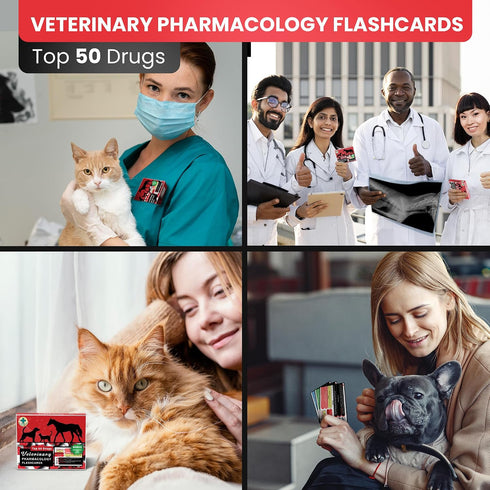 Pharmacology Island 50 Veterinary Pharmacology Flashcards - Top Drugs for Dogs, Cats, and Horses