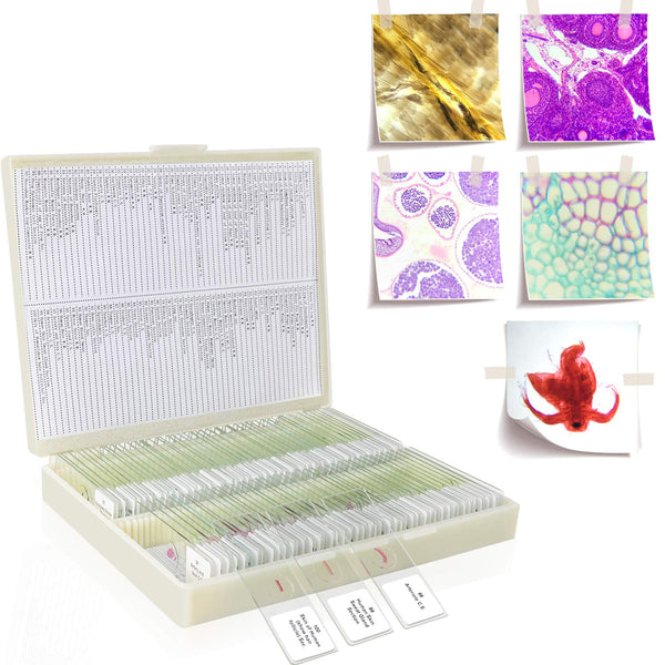100Pcs Prepared Microscope Slides Set, Professional Specimens for Kids and Student Homeschool Use