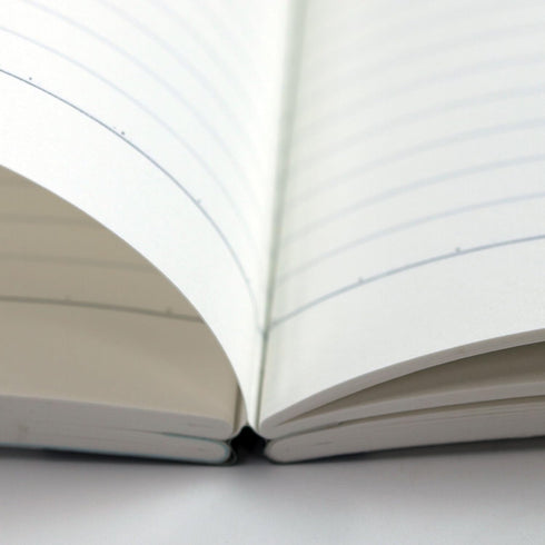 ?????? Tsubame Notebook, A5, Horizontal Ruled, 0.3 inches (7 mm) x 24 lines, 100 sheets, H100S H2006
