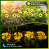6 Pack 36 IP65 Solar Sunflower Lights Outdoor Waterproof - with Bright Solar Sunflower Lights, Waterproof Light