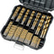 99 Pcs Twist Drill Bit Set, Titanium Coated High Speed Steel, 135° Tip Kit for Iron, Wood, Plastic, with Hard Storage