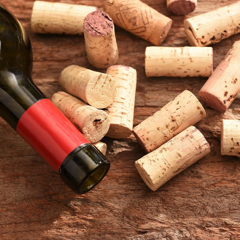 MECCANIXITY Tapered Cork, 27x21x31mm Wooden Leakproof Soft Cork Stoppers for Wine Bottle Crafts, Pack of 6