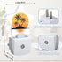 Sunset Tropical Palm Trees Night Lights Plug Into Wall,Beach Star Night Light for Kids,Nightlight with Dusk to Dawn