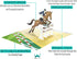 Horse Jumping Equestrian 3D Pop Up Greeting Card for All Occasions - Birthday, Love, Sports, Retirement