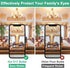 JDE11 120V 50W Bulb E11 Bulb), T4 4 Pack E11 Bulb 2700K Dimmable TAIYALOO Halogen (Replacement LED Mini Candelabra
