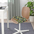Tailbone Memory Foam Relief Cushion for Office Chairs - Sciatica Support