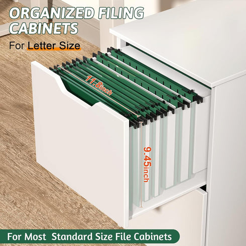 Plastic Hanging File Folder, Letter Size, 12 Pack Reinforced Hang Folders with 2 Inch Expansion, Sturdy File Cabinet