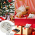 Conch Shell Night Light-Battery Powered LED Night Light for Kids Room, Auto Off Timer, Adults Bedroom Decor Nautical