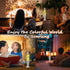 13.5 Inch 17 Small Liquid Motion Lamp Color Color Changing Lamp Blue Pink Red Green Purple LED Table Lamp Night Light